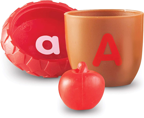 Letter Recognition Homeschool Learning Alphabet Acorns Activity Set for Toddlers